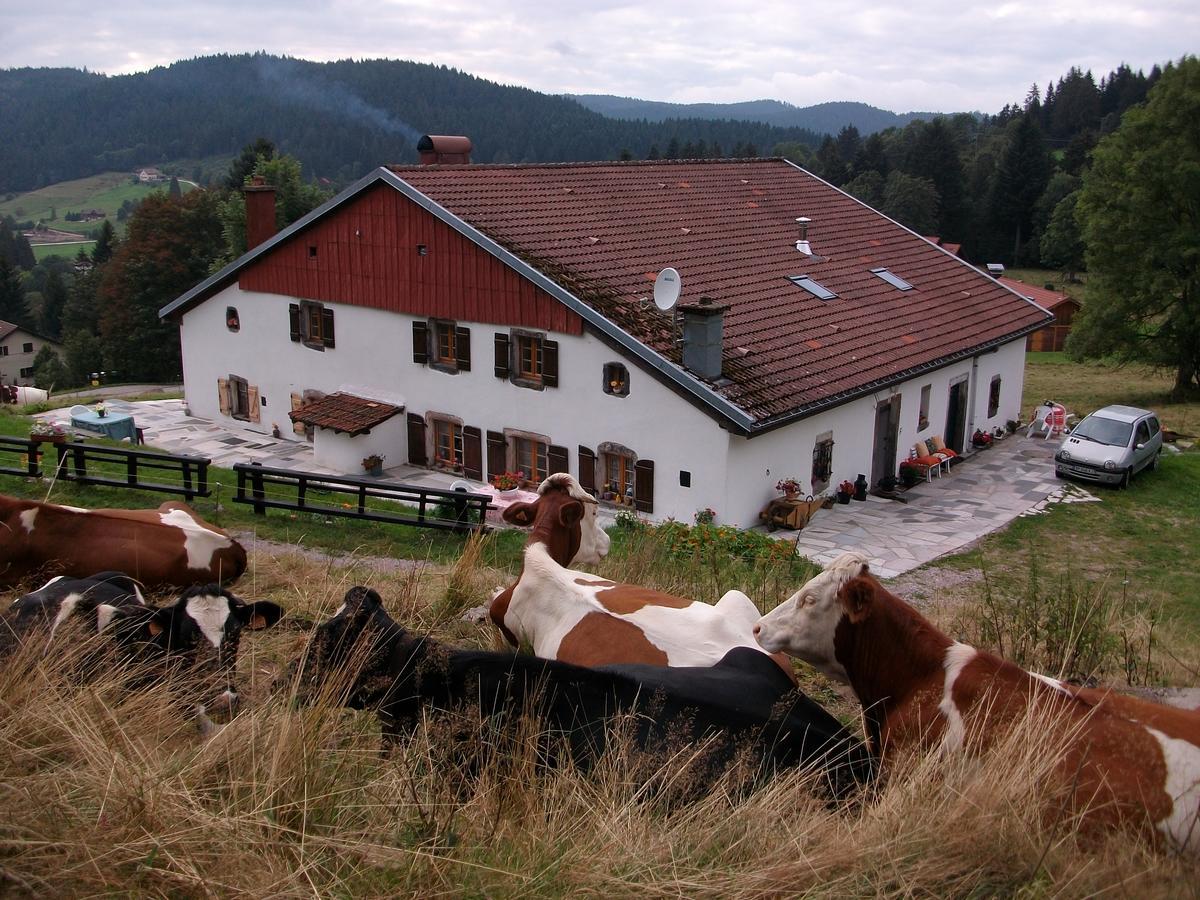 Appartement La Timoniere Gerardmer Exterior photo